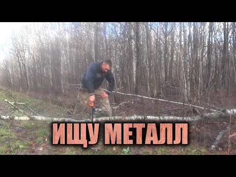 Видео: ИЩУ МЕТАЛЛ В ЛЕСУ. ПРОБИРАЮСЬ ГЛУБЖЕ И БЛИЖЕ К ДЕЛЯНКАМ.