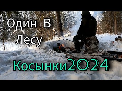 Видео: МОРОЗ -30. ВСЁ ЗАМЕРЗАЕТ. Я ЕЕ ВСЕ ТАКИ ПОЙМАЛ. ВЕРНУЛСЯ В ЛЕС. ОДИН В ЛЕСУ.