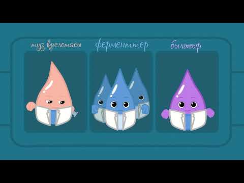 Видео: Биздин ичибиздеги жашыруун лаборатория