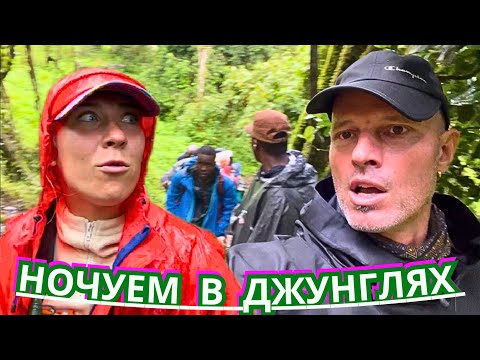 Видео: ПЕРВАЯ НОЧЁВКА в ДЖУНГЛЯХ АФРИКИ‼️ ВОСХОЖДЕНИЕ на КИЛИМАНДЖАРО 2024 Танзания