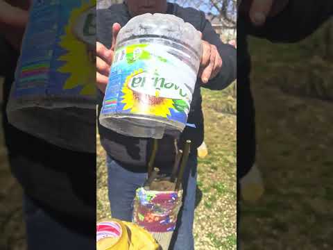 Видео: таҷрибаи пайванди чормағз.(2)