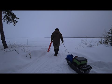 Видео: ВЕРНУЛСЯ В ЭТИ КРАЯ СПУСТЯ ТРИ ГОДА! СТАРАЯ РЫБАЦКАЯ ИЗБА ВСТРЕЧАЙ \ ЖЕРЛИЦЫ НА ЧЁРНУЮ ЩУКУ ЧАСТЬ 1