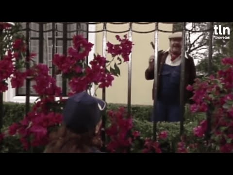 Видео: Испанский с ДИКОЙ РОЗОЙ🌹 (9). Роза просит прощения у Рикардо.