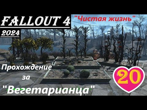 Видео: Fallout 4 Прохождение, выживание, одна жизнь:- без силовой брони, ватса, химии, легендарок и мяса !