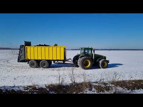 Видео: Курячий послід як ранньовесняне азотне живлення оз.пшениці.
