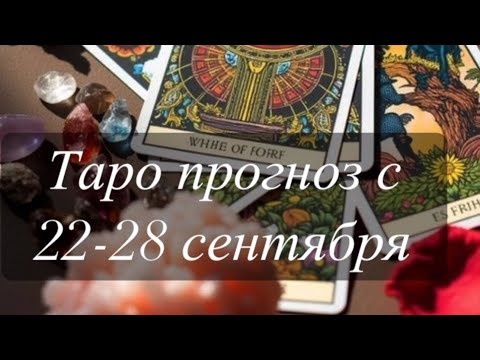 Видео: Неделя внутренней трансформации» 🌑✨