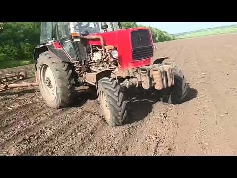 Видео: 25,05,2025,Чи ще хтось робе це ?