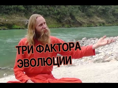 Видео: Факторы развития личности. Всестороннее развитие человека