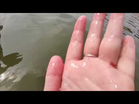 Видео: 🏝️🏝️🏝️ ЯРОВОЕ.))  Часть 1.