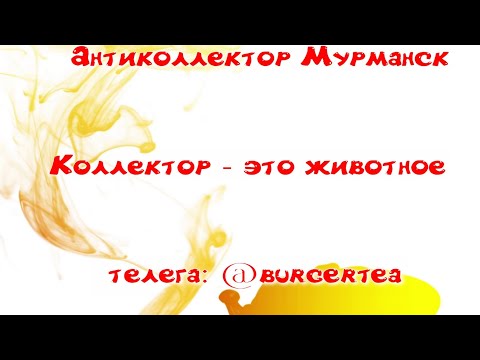 Видео: Коллектор - это животное