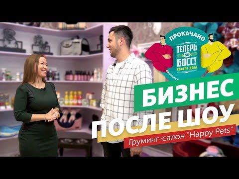 Видео: Качественный груминг в Казани! Как изменился салон Happy Pets после участия в шоу?