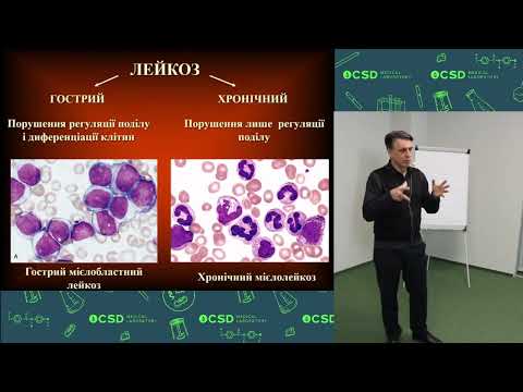 Видео: Етіологія та патогенез гемобластозів