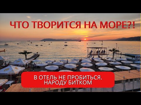Видео: Дивноморское и Кабардинка: народу битком! Сбежали в отель Majestic «все включено» в Анапу. Лето 2023