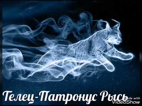 Видео: 💎Ваше магическое животное по знаку зодиака💎