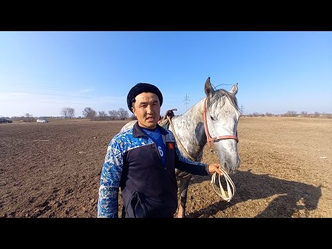 Видео: «Ала-Тоо» командасынын Ноорузга даярдыгы