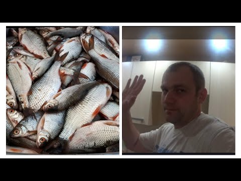Видео: КОНСЕРВЫ ИЗ РЕЧНОЙ РЫБЫ ЧЕБАК И ЕЛЕЦ,НА АВТОКЛАВЕ ВЕЙН,ПРОБУЕМ!