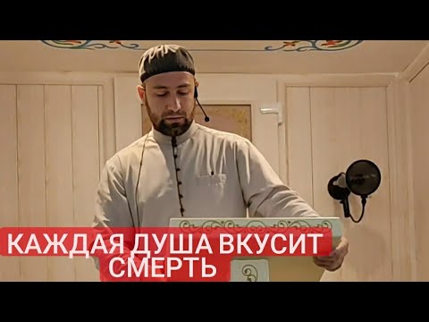 Видео: Хьехам "Малайки са эцар" ма докх х1ум ду и