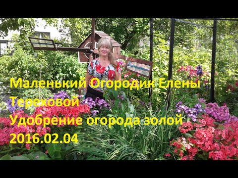 Видео: Маленький Огородик Елены Тереховой -  Удобрение огорода золой 2016.02.04