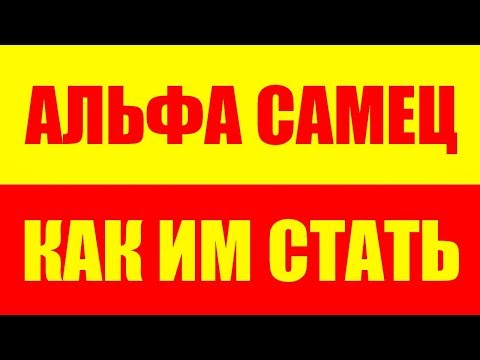 Видео: Альфа самец - Как стать альфа самцом