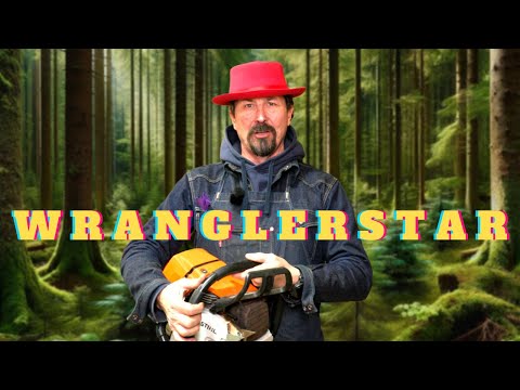 Видео: 10 лучших трюков с бензопилой, которые должен знать каждый мужчина