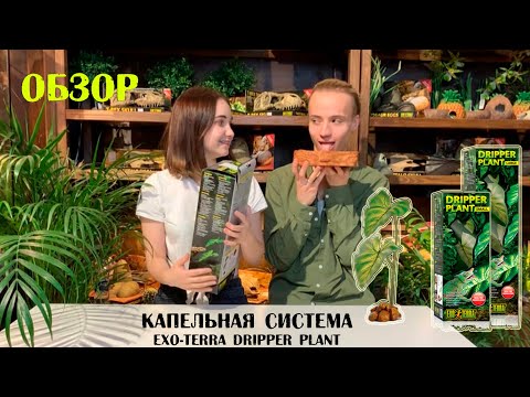 Видео: Обзор на капельную систему Dripper Plant Exo-Terra