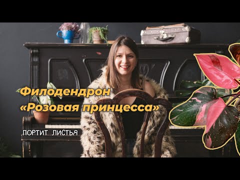 Видео: Филодендрон "Розовая принцесса" портит листья. Что делать?