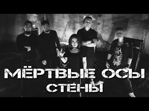 Видео: Мёртвые Осы - Стены