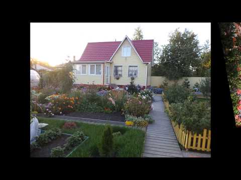 Видео: Моя дача  Красивый проект, интересный ландшафтный дизайн(My cottage a beautiful project)