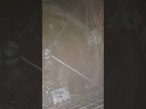 Видео: Рузи дуюуми ассалгири 2025