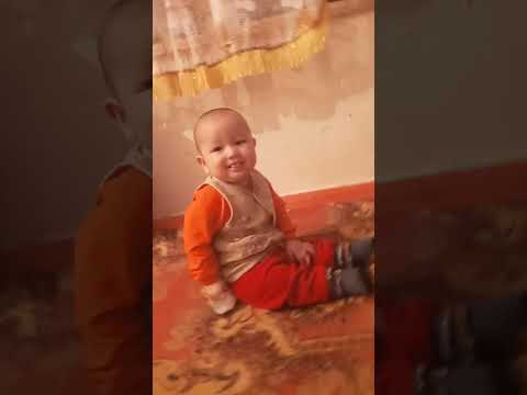 Видео: 6 октября 2024 г.