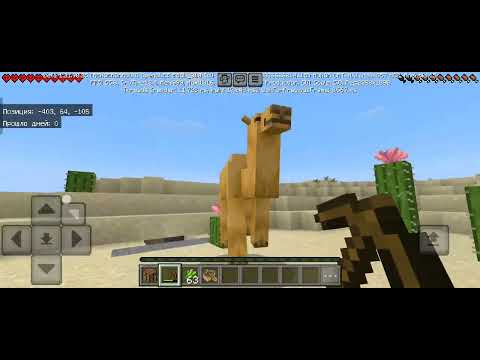 Видео: 1 ноября 2025 г.