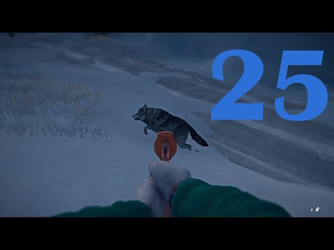 Видео: The Long Dark №25 Союзник