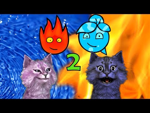 Видео: ОГОНЬ и ВОДА приключения в ЛЕСНОМ ХРАМЕ #2 КОШКА ЛАНА и КОТ ЛЕО играет