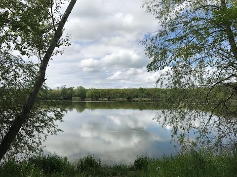 Видео: ЛЕСНОЕ ОЗЕРО_СЕЛО НАДЗОРНОЕ