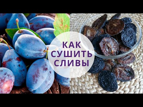 Видео: Сушка сливы в сушилке. Советы по хранению!