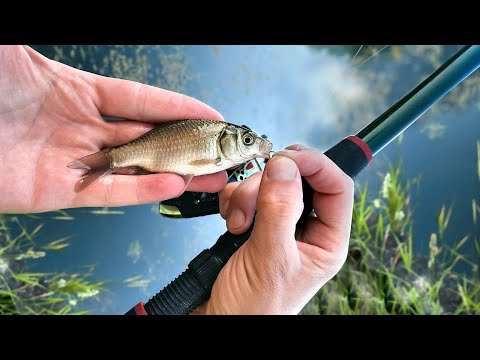 Видео: Рыбалка на расслабоне. Ловля карася на поплавок.