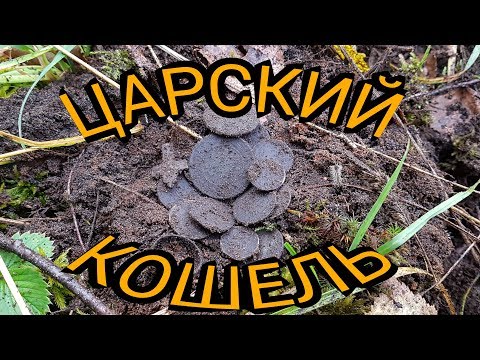 Видео: Царский кошель.Клад в конце сезона.