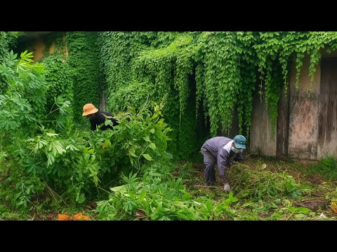 Видео: 6 лет ОТКАЗА, ШТРАФ В 10 000 ДОЛЛАРОВ и ПОТРЯСАЮЩЕЕ преображение