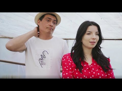 Видео: Qıyış Yaşayış: Toy bahşışı. (Къыйыш Яшайыш: Той бахшышы)