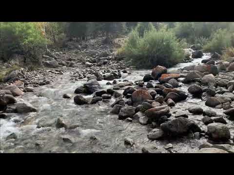 Видео: Чон-Кемин, Шалак-Каинды, Кыргызстан. Осенняя.