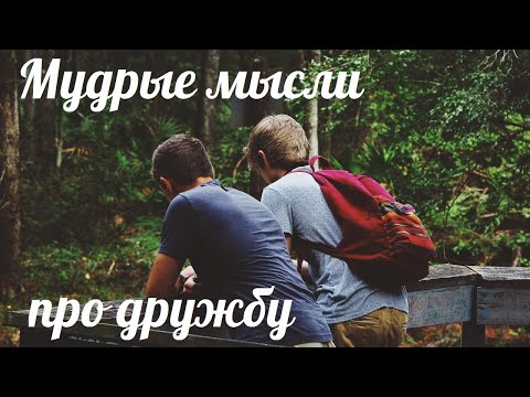 Видео: ЦИТАТЫ ПРО ДРУЖБУ. Мудрые мысли, афоризмы, изречения про друзей