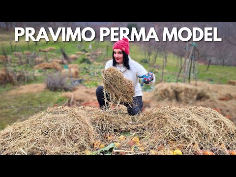 Видео: Как Создать PERMA Модель?