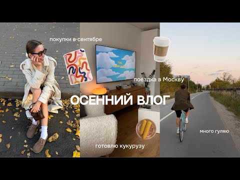 Видео: осенний влог: варю кукурузу, много гуляю, показываю покупки сентября