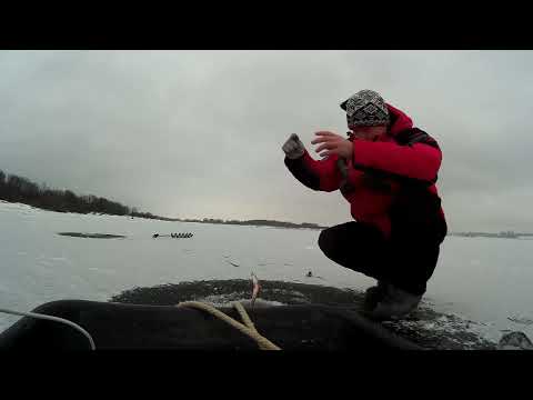 Видео: Рыбалка на Чебоксарской ГЭС