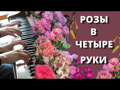 Видео: ПЕРЕСАДКА РОЗ . СЕМЕЙНОЕ ВИДЕО. Разные способы, но один результат.21 сентября 2024 г.