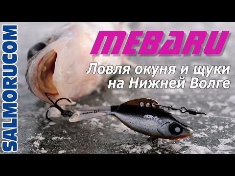 Видео: Ловля окуня и щуки на Нижней Волге на балансир Mebaru LJ