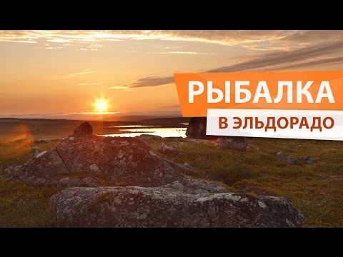 Видео: Ловля хариуса и кумжи. НАШЕЛ ЭЛЬДОРАДО в тундре!