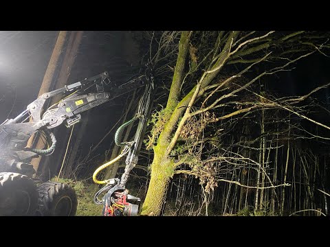 Видео: Крайняя делянка 2024 года..Бурелом,Работаем с 1470е1