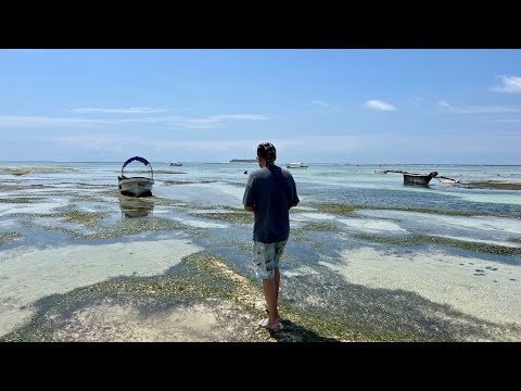 Видео: #17 НА БАЙКЕ ПО АФРИКЕ! ПЛЯЖ МАТЕМВЕ, СМОТРИМ ОТЛИВЫ! ЗАНЗИБАР, ТАНЗАНИЯ, август 2023