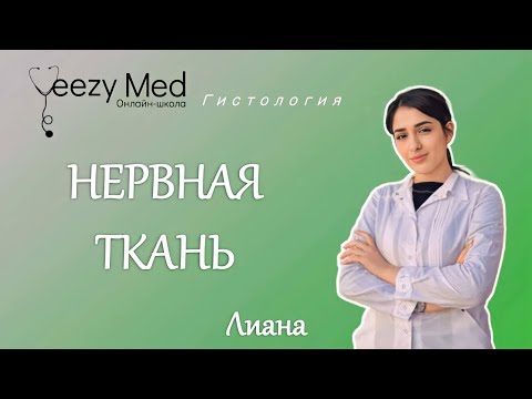 Видео: Гистология. Нервная ткань